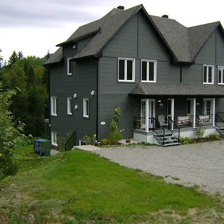 Vue Sur La Montagne Villa L'Anse-Saint-Jean Exterior photo
