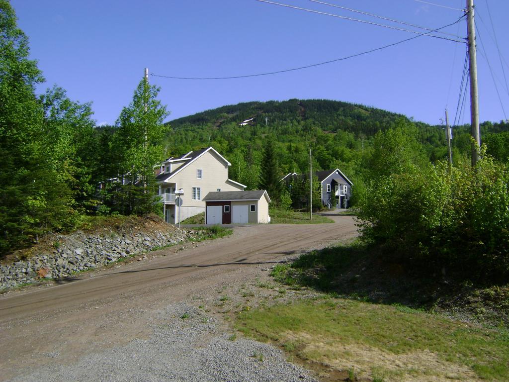 Vue Sur La Montagne
